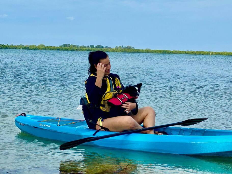 New Dog Paradise - Near The Beach Img & Downtown Bradenton Extérieur photo