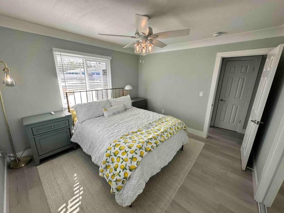 New Dog Paradise - Near The Beach Img & Downtown Bradenton Extérieur photo
