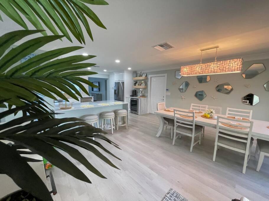 New Dog Paradise - Near The Beach Img & Downtown Bradenton Extérieur photo